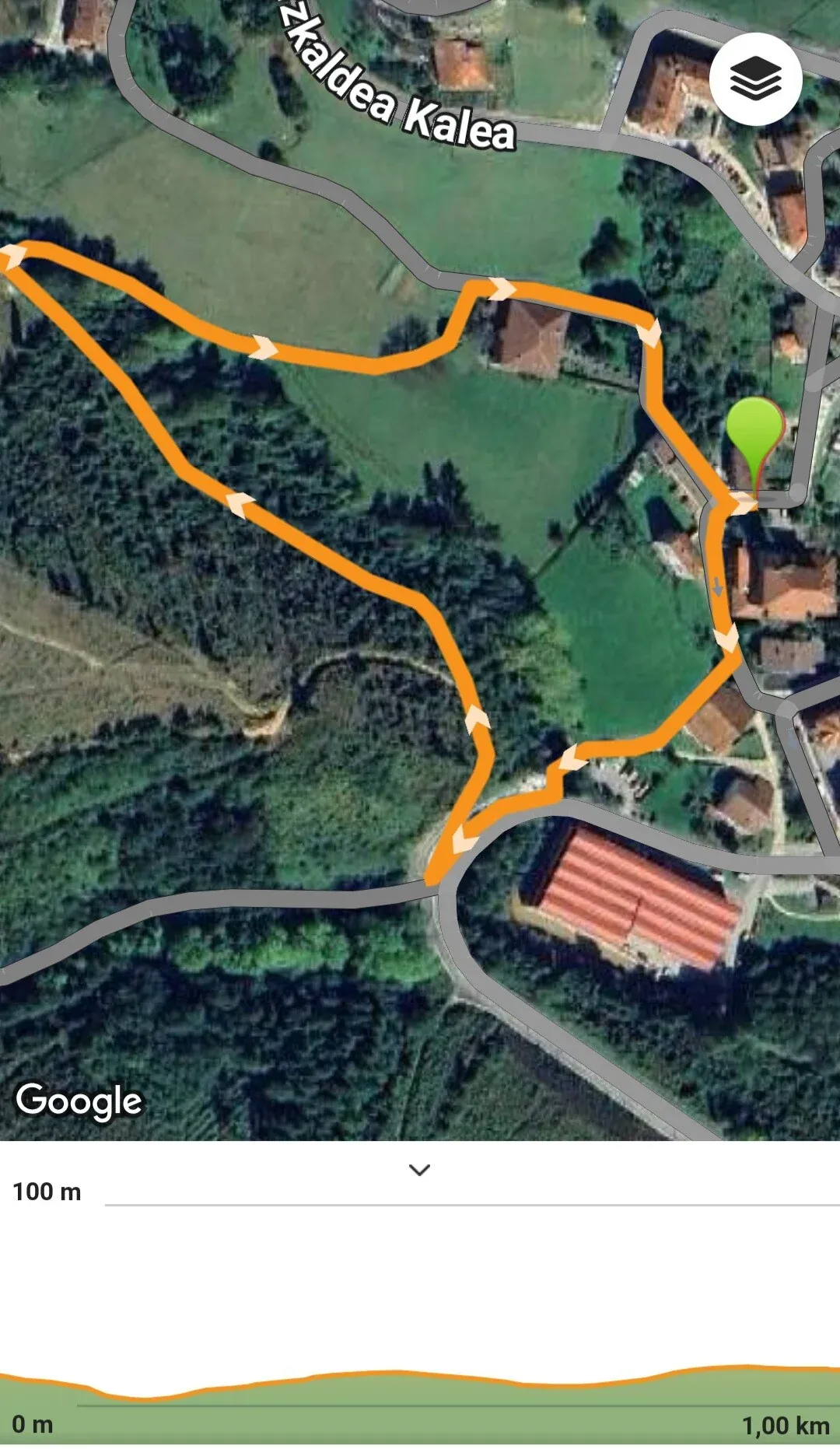 Carrera infantil